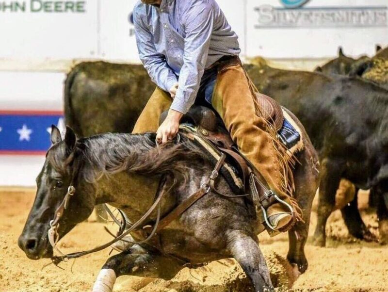 HASHTAGS IN FOAL PARTNERS QUARTER HORSE STALLIONS