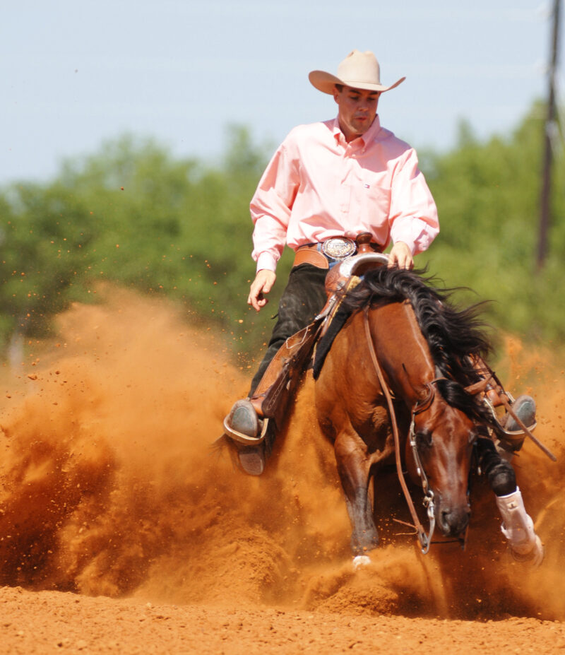 EINSTEINS REVOLUTION IN FOAL PARTNERS QUARTER HORSE STALLIONS