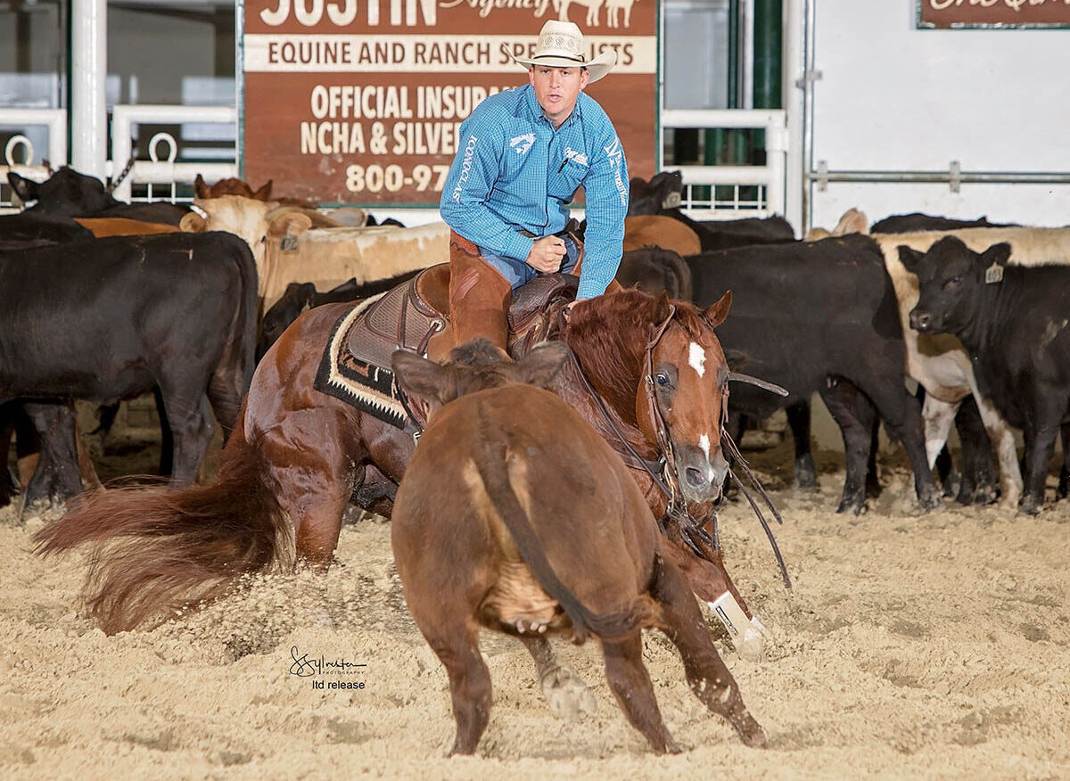 IN FOAL PARTNERS QUARTER HORSE STALLIONS Frozen Semen, reining horses